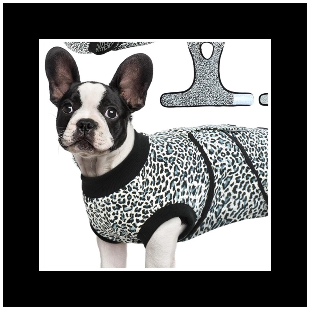 Kuoser Dog surgery dog suit.  NWT - Picture 2 of 11